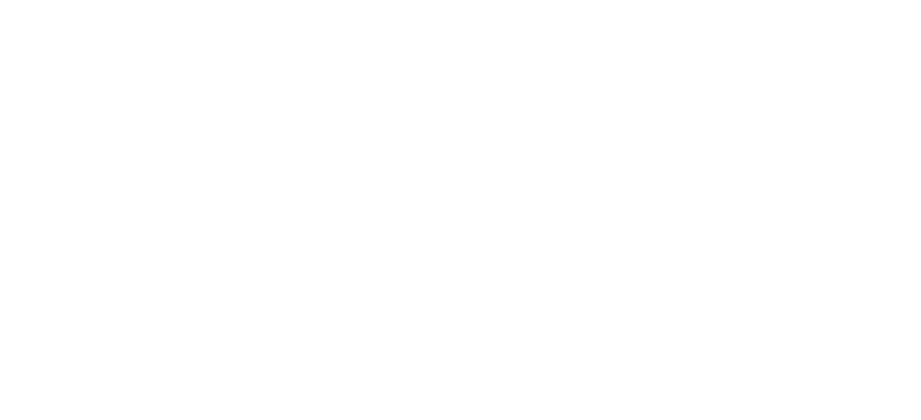 Seta Global